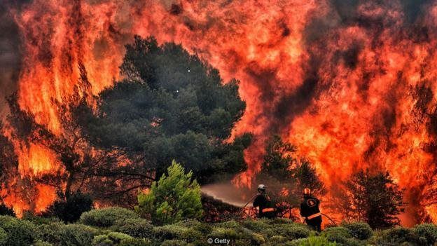 Karhutla Berulang Imbas Kapitalisasi Hutan